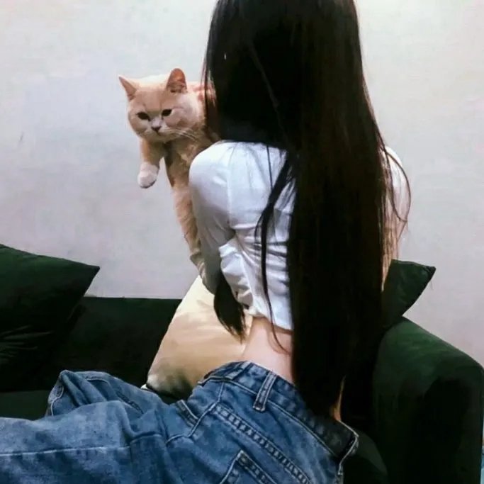 连环计中计